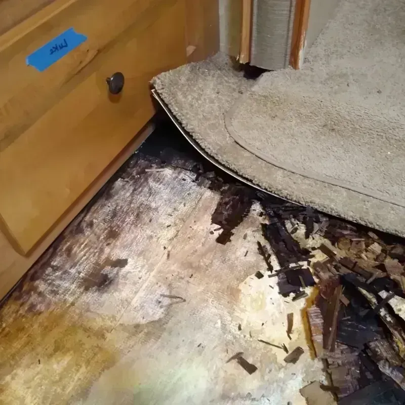 Wood Floor Water Damage in Douglas County, SD